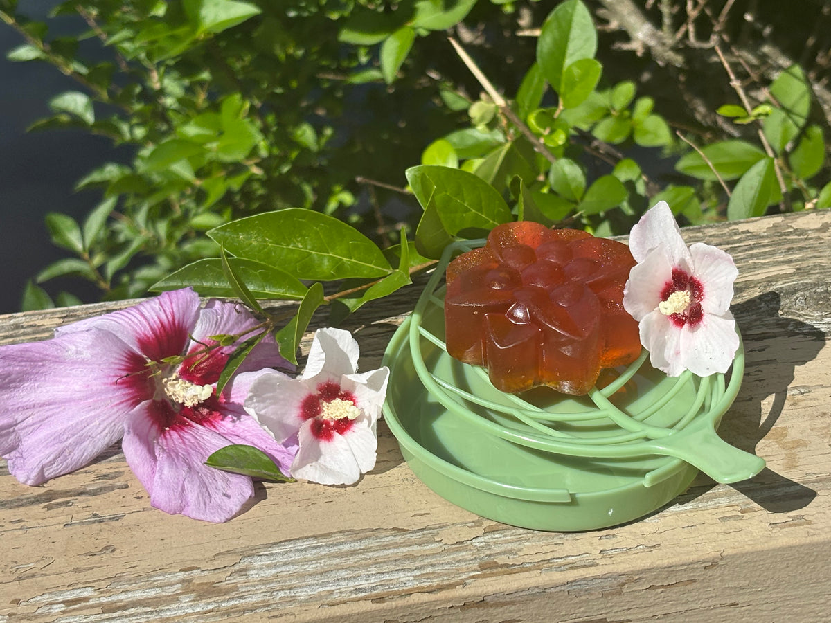 Leaf Soap Tray