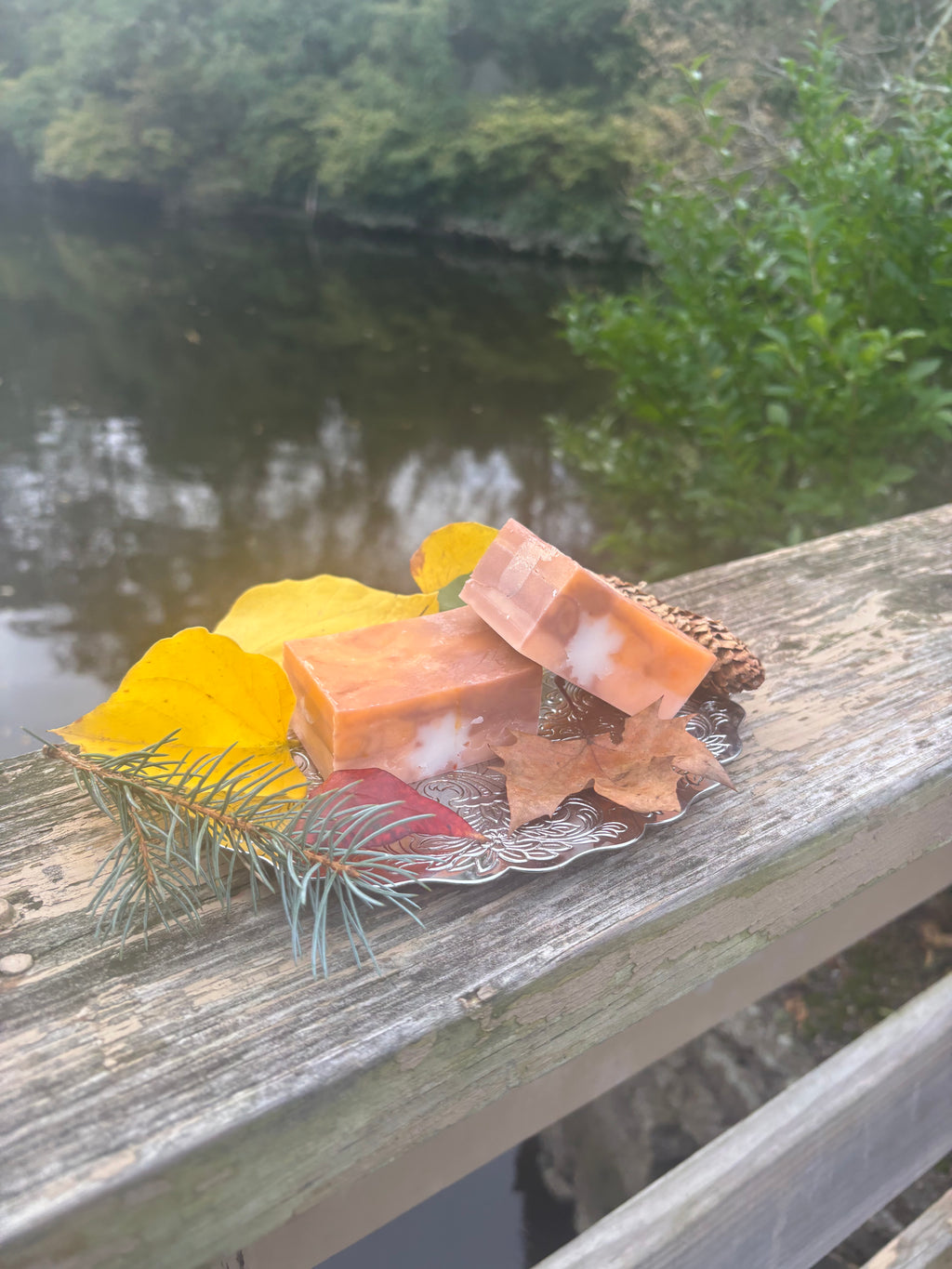 Enchanted Autumn Soap Bar