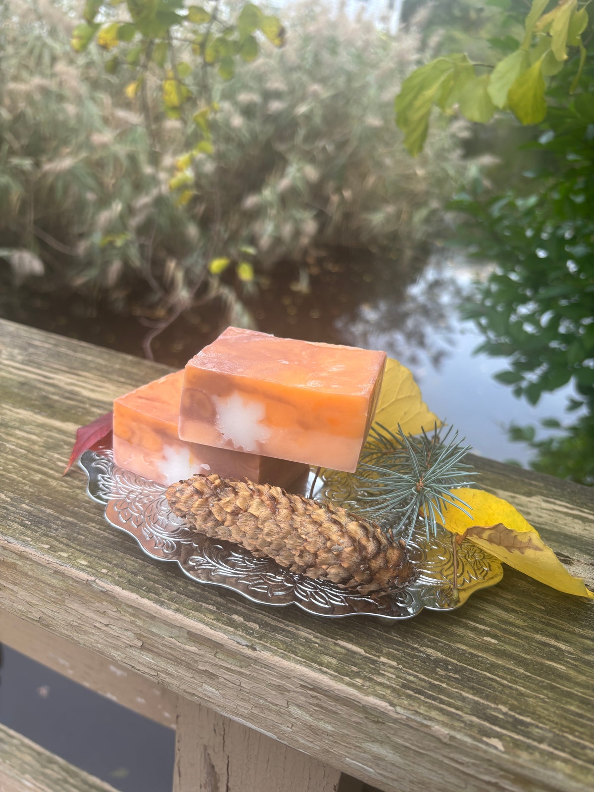 Enchanted Autumn Soap Bar