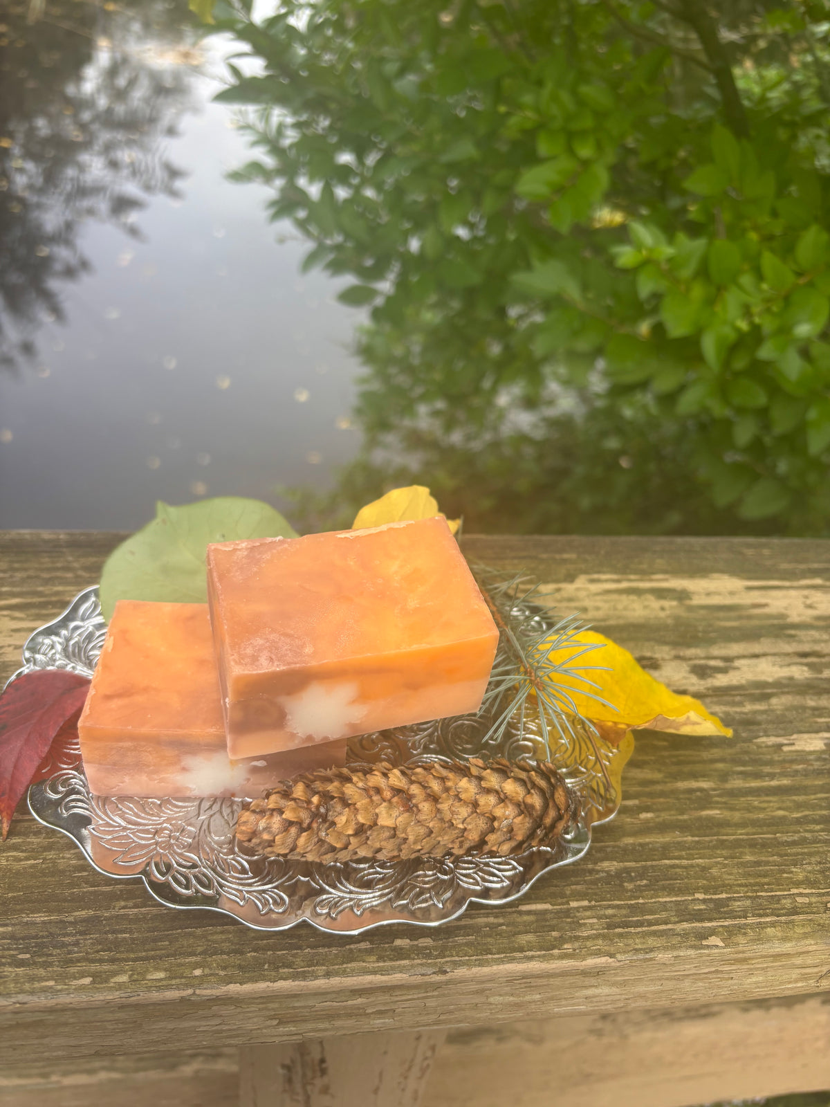 Enchanted Autumn Soap Bar