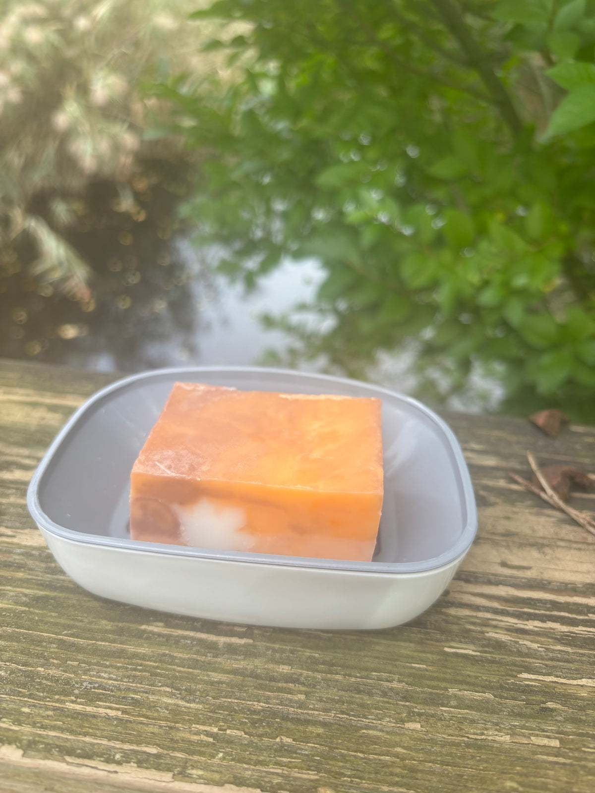 Enchanted Autumn Soap Bar