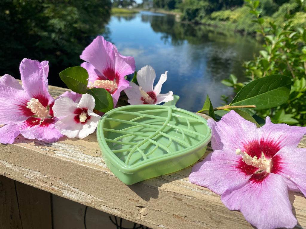 Leaf Soap Tray