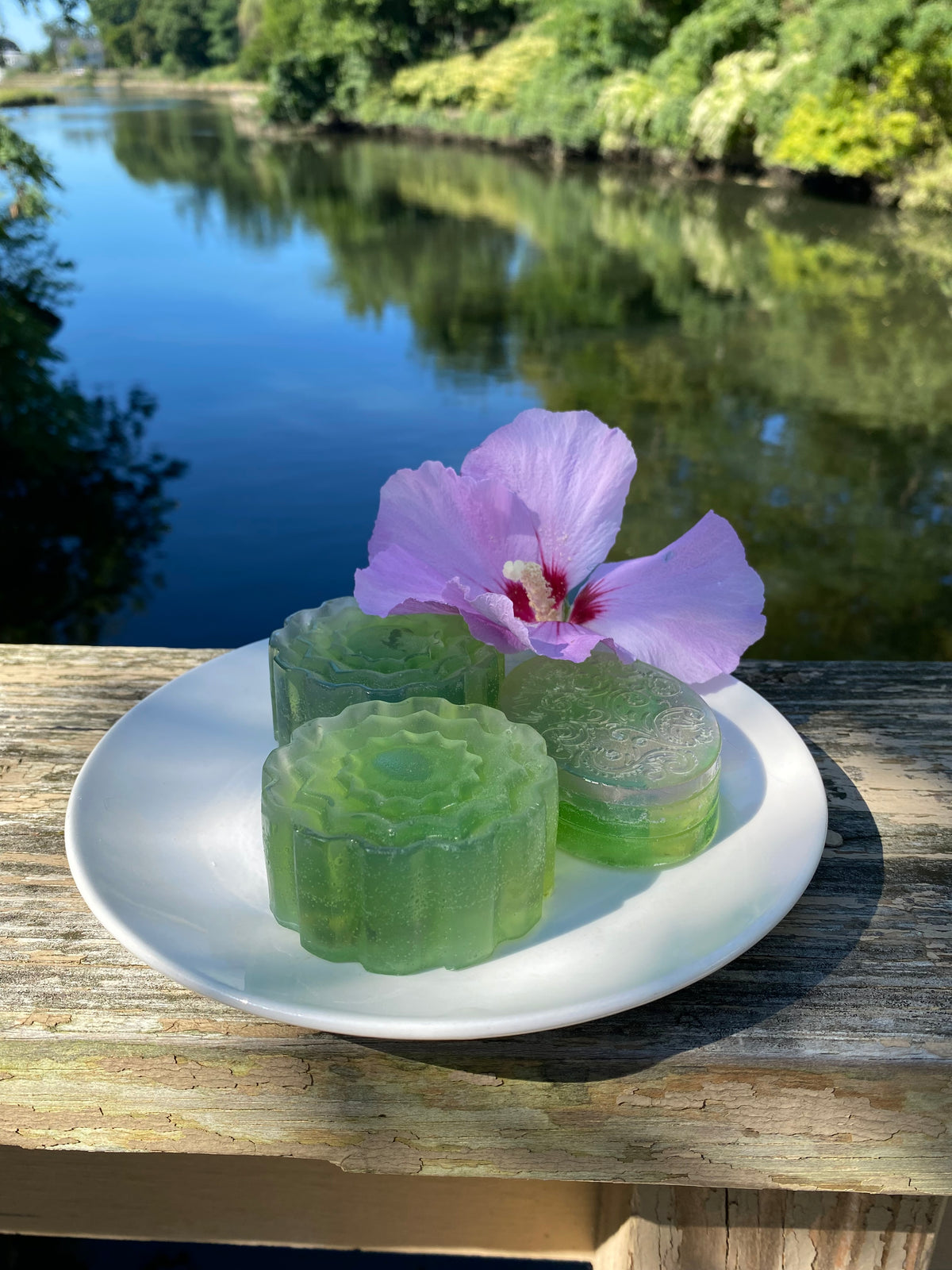 Jasmine Salt Soap Bar